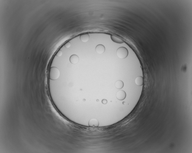 X0000115701095200912031459