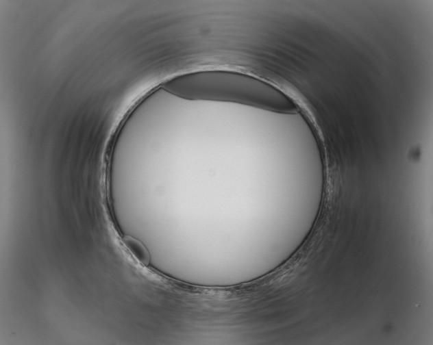 X0000115701096200912031459