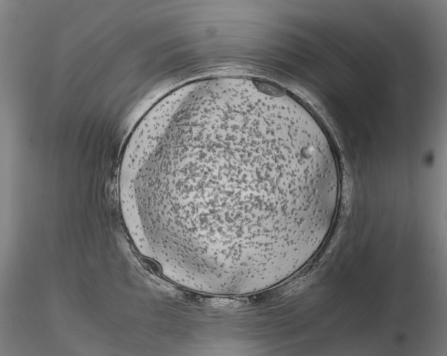 X0000115701097200912031459