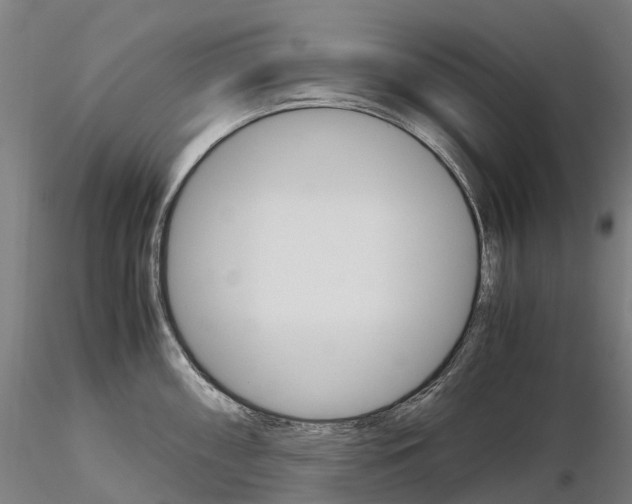 X0000115701098200912031459