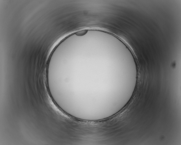 X0000115701100200912031459