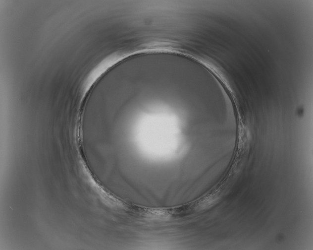 X0000115701101200912031459