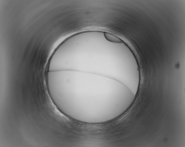 X0000115701102200912031459