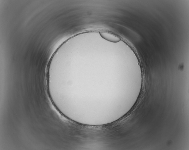 X0000115701103200912031459