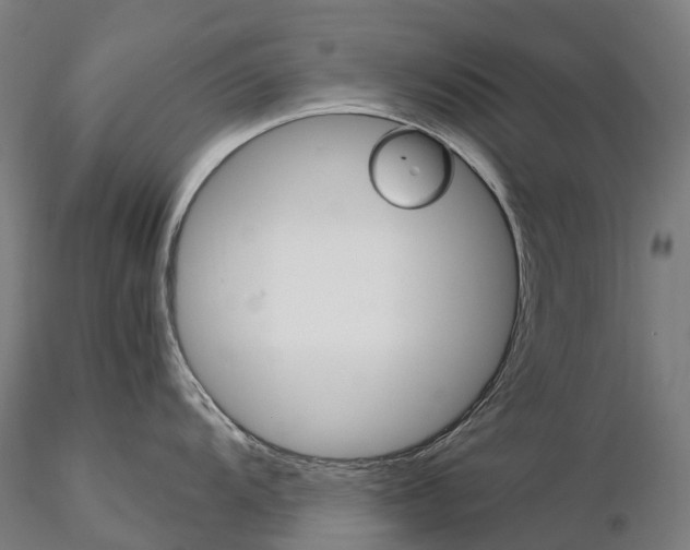 X0000115701104200912031459