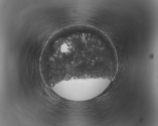 X0000115701106200912031458