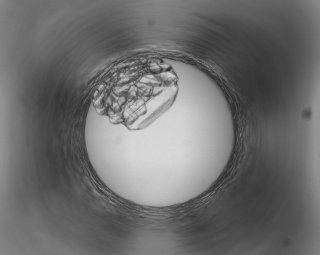 X0000115701110200912031459