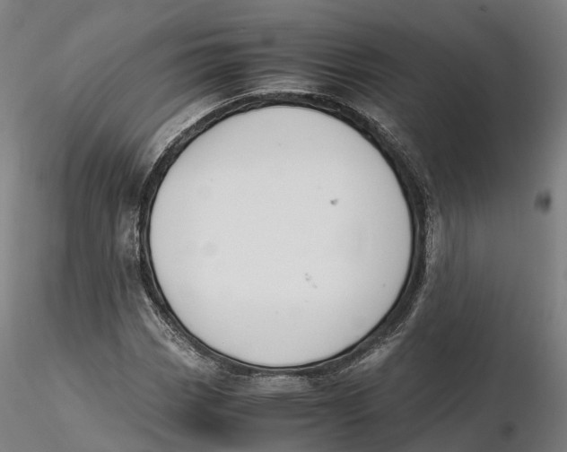 X0000115701113200912031459