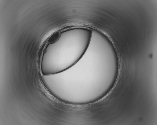 X0000115701114200912031459