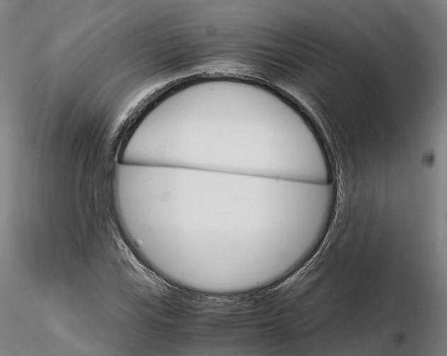 X0000115701115200912031459