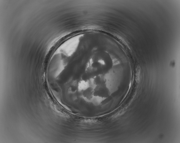 X0000115701117200912031459