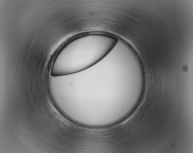 X0000115701118200912031459