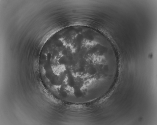 X0000115701121200912031459