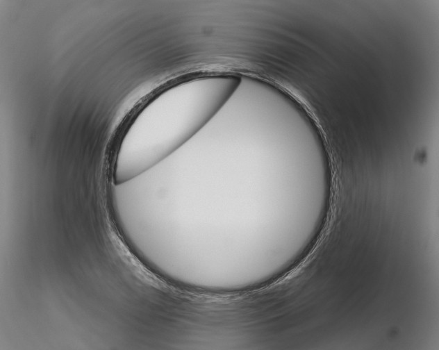 X0000115701122200912031459