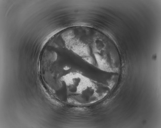 X0000115701125200912031459