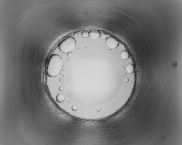 X0000115701126200912031459