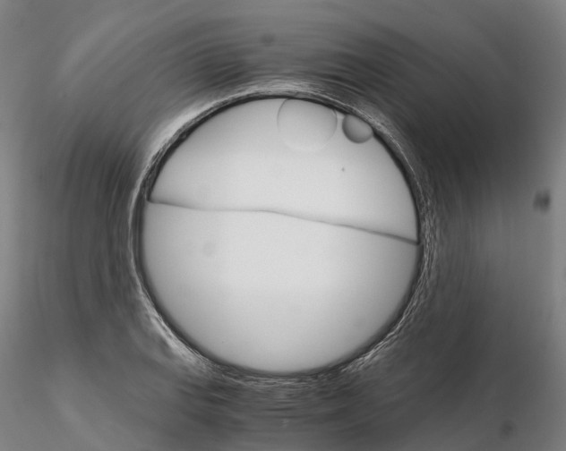 X0000115701127200912031459