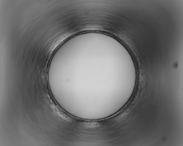 X0000115701129200912031459