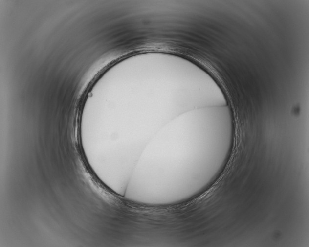 X0000115701131200912031459