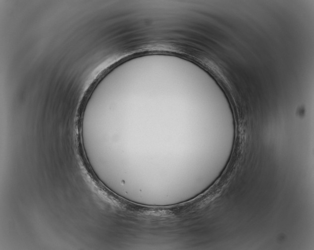 X0000115701133200912031459