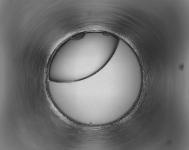 X0000115701134200912031459