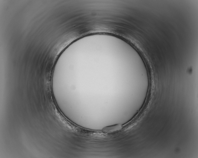 X0000115701137200912031459