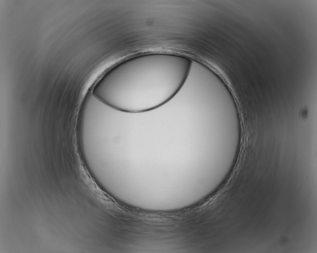 X0000115701138200912031459