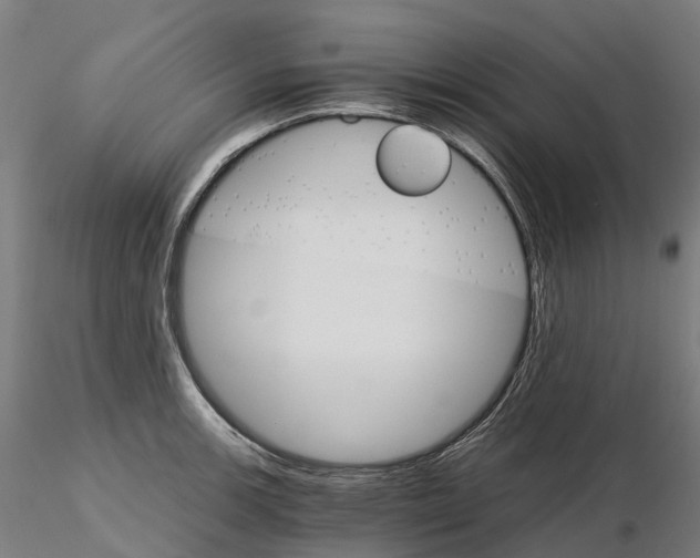 X0000115701139200912031459