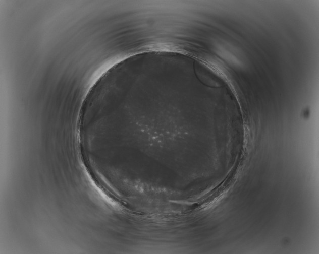 X0000115701141200912031459