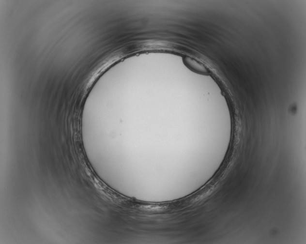 X0000115701145200912031459