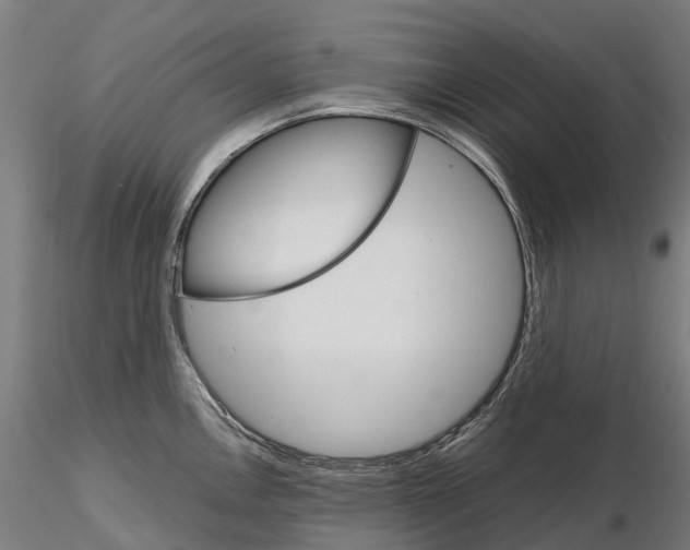 X0000115701146200912031459