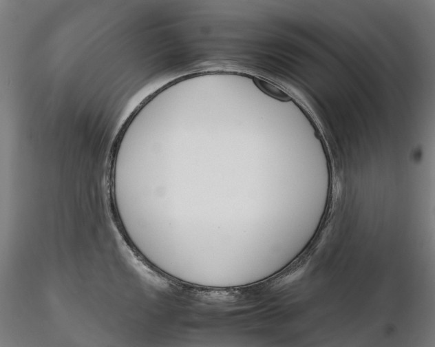 X0000115701149200912031459