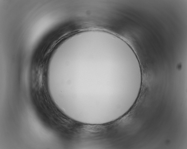 X0000115701150200912031459