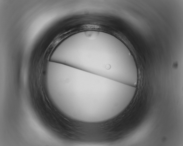 X0000115701151200912031459