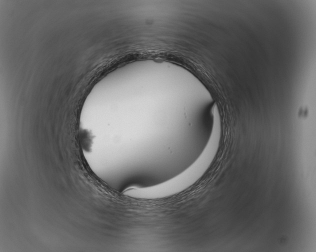 X0000115701153200912031458