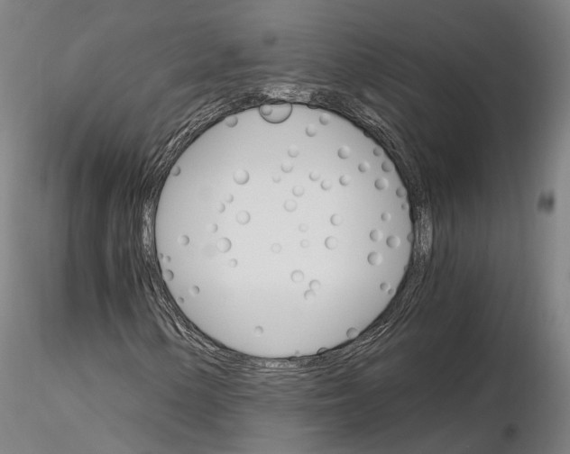 X0000115701154200912031458