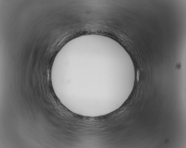 X0000115701155200912031458