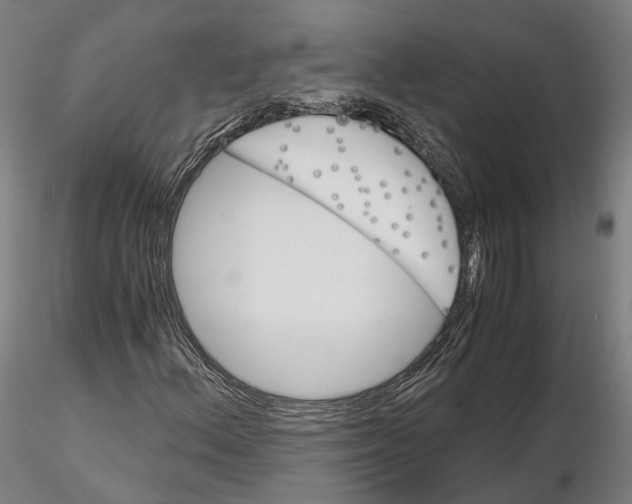 X0000115701156200912031458