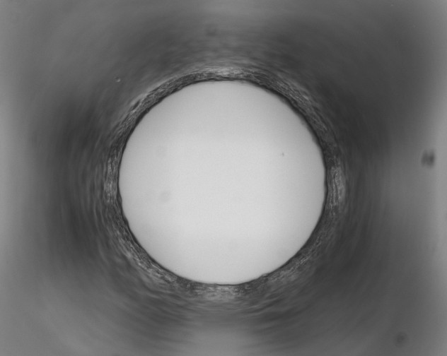 X0000115701158200912031458