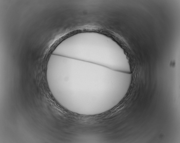 X0000115701160200912031458