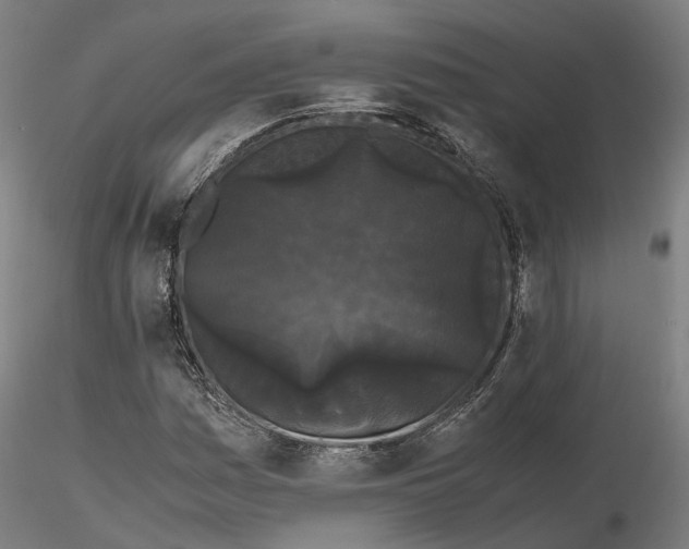 X0000115701161200912031458