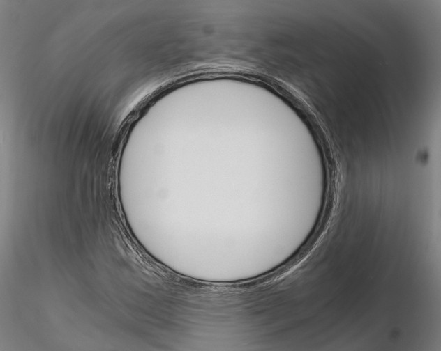 X0000115701163200912031458