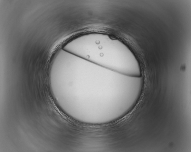 X0000115701164200912031458