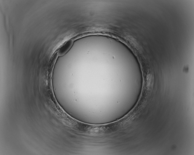 X0000115701165200912031458