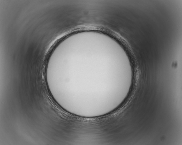 X0000115701166200912031458