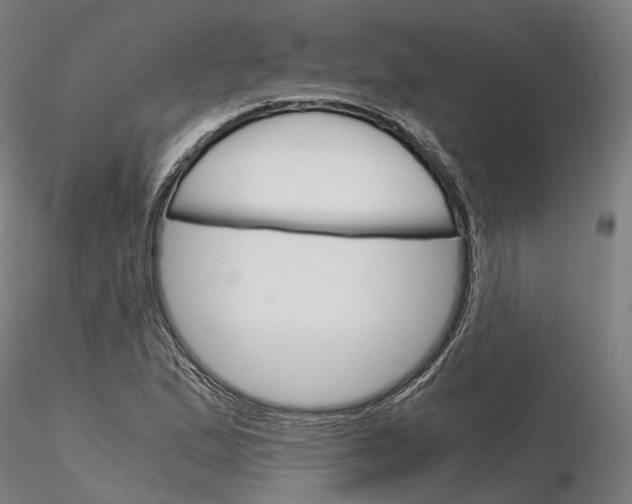 X0000115701167200912031458