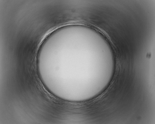 X0000115701168200912031458