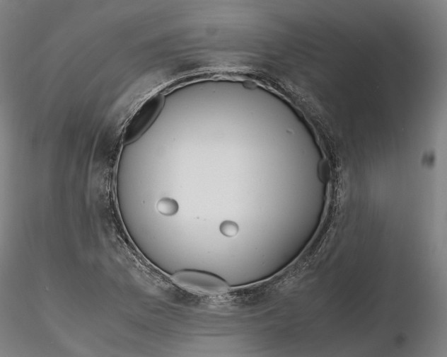 X0000115701169200912031458