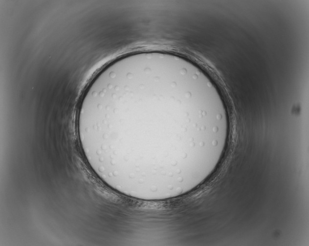 X0000115701174200912031458