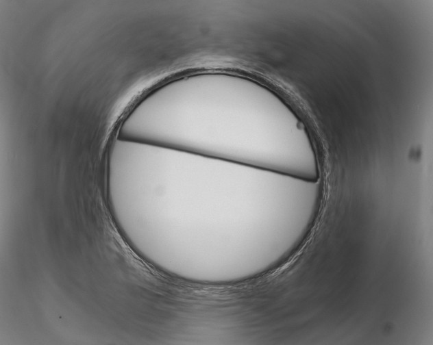 X0000115701175200912031458